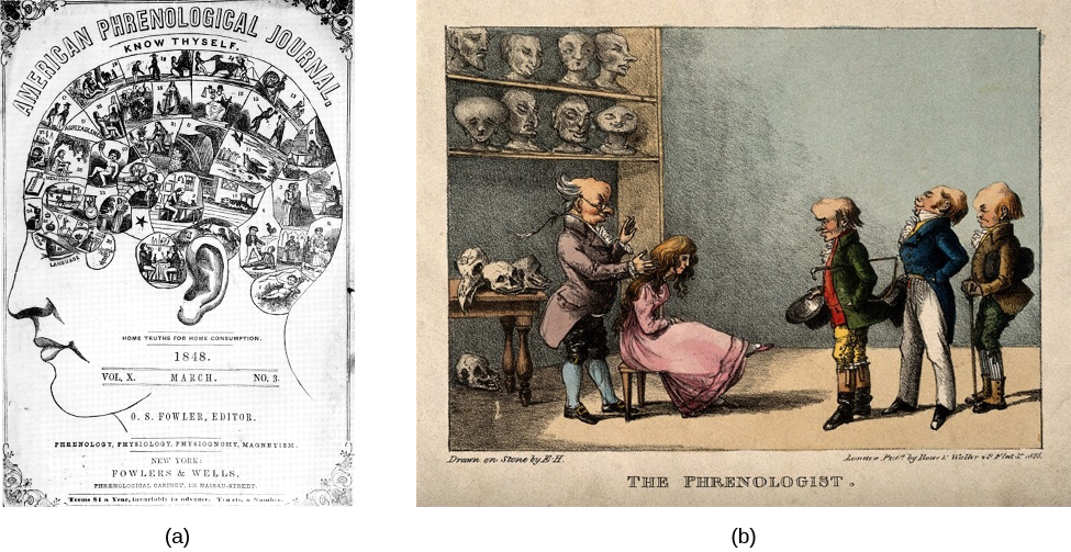 Ljósmynd A sýnir forsíðu American Phrenological Journal frá um 1848. Efst stendur „American Phrenological Journal“. Þar fyrir neðan stendur „Know thyself“. Þar fyrir neðan er mynd af mannshöfði sem snýr til vinstri, með mörgum myndum á heilasvæðinu. Undir eyra mannsins stendur „Home truths for home consumption“. Línurnar þar fyrir neðan sýna meðal annars „1848“, „Vol. X, March, No. 3“, „O.S. Fowler, Editor“, „Phrenology, Physiology, Physiognomy, Magnetism“, „New York“, „Fowlers and Wells“, „Phrenological cabinet, 131 Nassau-Street“ og „Terms $1 a year, invariably in advance. Ten cts. a Number.“ Ljósmynd B sýnir prentaða skopmynd af manneskju í stól og annarri manneskju fyrir aftan hana. Þrjár aðrar manneskjur eru í herberginu og veggurinn er skreyttur ýmsum höfuðkúpum. Fyrir neðan myndina stendur „Drawn on Stone by E.H“ og „The Phrenologist.“
