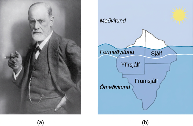(a)A photograph shows Freud holding a cigar. (b) The mind’s conscious and unconscious states are illustrated as an iceberg floating in water. Beneath the water’s surface in the “unconscious” area are the id, ego, and superego. The area just below the water’s surface is labeled “preconscious.” The area above the water’s surface is labeled “conscious.”