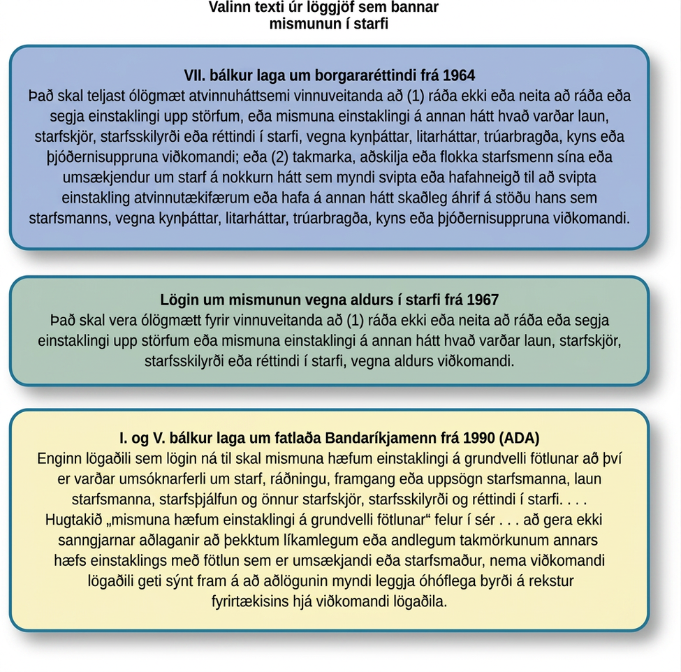 Þrír lóðréttir kassar sýna valinn texta úr bandarískri löggjöf sem bannar mismunun í starfi, þar á meðal borgararéttindalög frá 1964, lög um aldursmismunun í starfi frá 1967 og ADA-lögin frá 1990.
