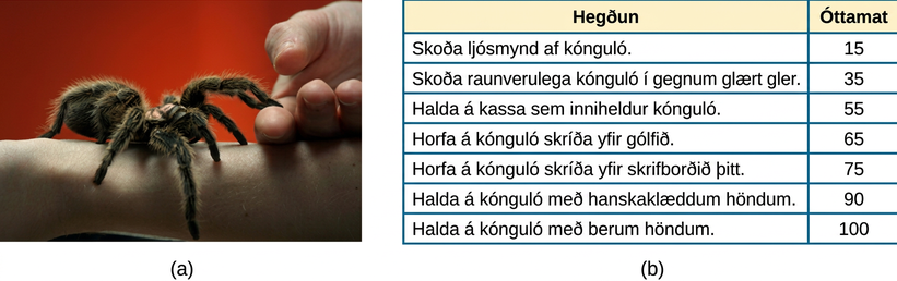 Figure (a): A close-up picture of a very large spider on a person’s arm is shown. The person is using its other hand to hold up two of the spider’s legs. Figure (b): A chart has two columns: Behavior and Fear Rating. The first behavior is look at a photo of a spider with a fear rating of 15. The second behavior is look at a real spider through clear glass with a fear rating of 35. The third behavior is hold a box that contains a spider with a fear rating of 55. The fourth behavior is watch a spider crawl across the floor with a fear rating of 65. The fifth behavior is watch a spider crawl across your desk with a fear rating of 75. The sixth behavior is hold a spider with gloved hands with a fear rating of 90. The seventh behavior is hold a spider with bare hands with a fear rating of 100.