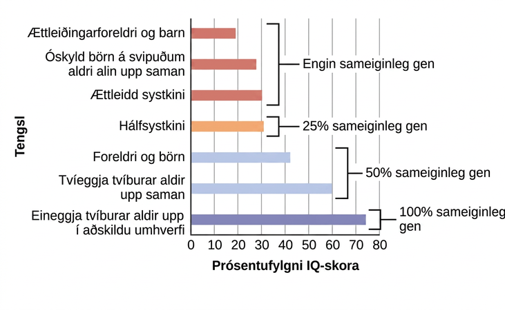 Súlurit sýnir fylgni IQ-skora hjá fólki með ólík tengsl. Lárétti ásinn er merktur „Prósentufylgni IQ“ og lóðrétti ásinn „Tengsl“. Þegar engin gen eru sameiginleg er fylgnin um 21% hjá kjörforeldri og barni, um 30% hjá óskyldum börnum á svipuðum aldri sem alast upp saman og um 32% hjá kjörsystkinum. Hálfsystkini, sem deila 25% gena, sýna um 33% fylgni. Foreldri og barn og tvíeggja tvíburar sem alast upp saman, sem deila 50% gena, sýna um 44% og 62% fylgni. Eineggja tvíburar sem alast upp hvor í sínu lagi, og deila 100% gena, sýna nær 80% fylgni IQ-skora.