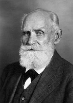 Andlitsmynd af Ivan Pavlov.