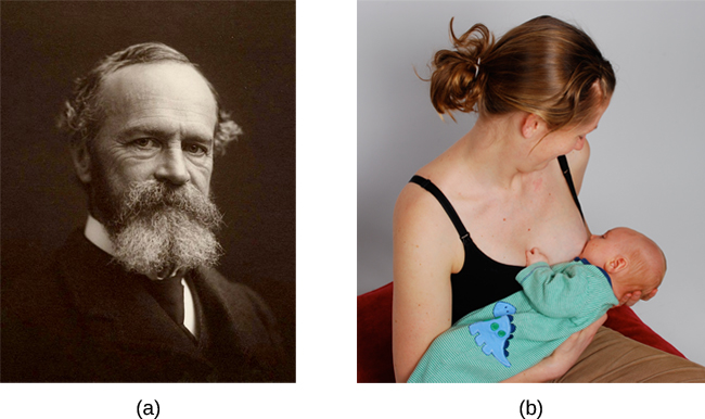Ljósmynd A sýnir William James. Ljósmynd B sýnir manneskju hafa barn á brjósti.