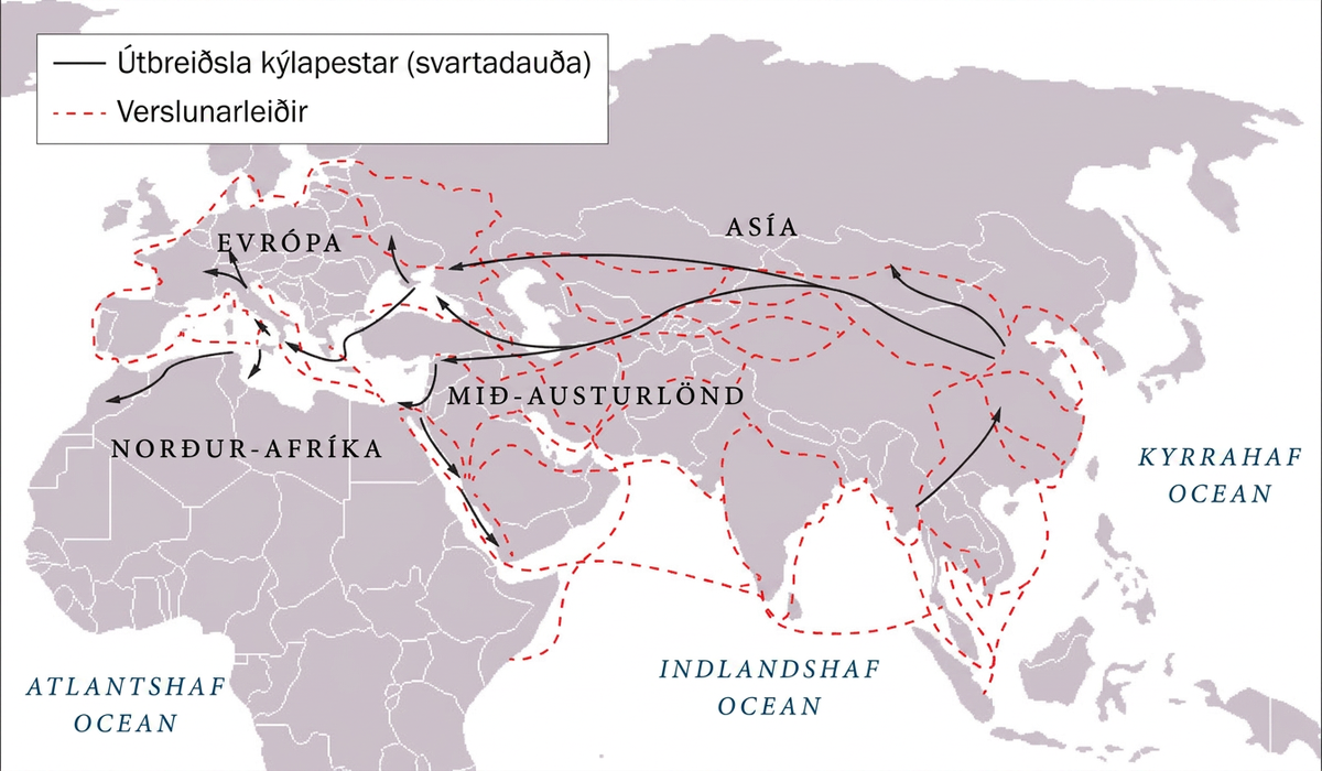 Kort þar sem vatn er hvítt og land grátt. Atlantshaf er í suðvestri, Indlandshaf í suðri og Kyrrahaf í austri. Evrópa er merkt í vestri, Norður-Afríka í suðvestri, Asía í norðri og Mið-Austurlönd fyrir miðju. Rauðar brotalínur merktar „verslunarleiðir“ liggja þvers og kruss um Evrópu, sunnanverða Asíu og Mið-Austurlönd frá Kyrrahafi að vesturströnd Evrópu. Í Afríku fylgja þær austur- og norðausturströndinni. Svartar örvar eru merktar „útbreiðsla kýlapestarinnar (svartadauða)“. Tvær örvar hefjast í austanverðri Asíu; önnur stefnir í norðvestur en hin í vestur og klofnar í tvennt. Önnur greinin stefnir vestur til Evrópu en hin til Mið-Austurlanda og klofnar þar aftur, annars vegar til norðurs og hins vegar áfram til vesturs. Vestlæga örin fylgir síðan ströndinni og stefnir suður eftir norðausturströnd Afríku. Ör hefst í Suður-Asíu, norðaustan Indlandshafs, og stefnir í norðaustur. Tvær örvar hefjast í austanverðri Evrópu; önnur stefnir norður en hin suðvestur og greinist síðan í þrjár örvar sem stefna vestur og inn í Norður-Afríku. Ein ör hefst í sunnanverðri Evrópu og klofnar í tvær greinar, aðra til norðurs og hina til vesturs.
