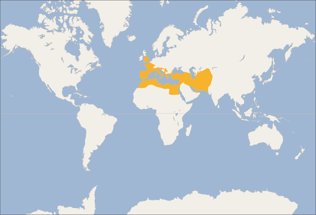 Sýnt er heimskort þar sem land er hvítt og vatn blátt. Hvít lína liggur þvert um mitt kortið. Norðurhluti Afríku (Marokkó, Alsír, Túnis, Líbía og Egyptaland) og löndin Líbanon, Sýrland, Tyrkland, Grikkland, Serbía, Ítalía, Frakkland, England, Spánn og Portúgal eru auðkennd með appelsínugulum lit.