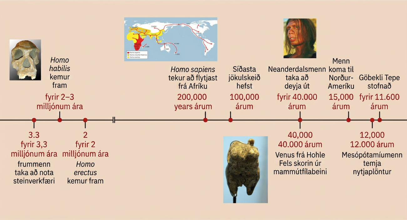 Tímalínan sýnir atburði sem fjallað er um í kaflanum. Fyrir 3.3 milljónum ára: Forverar manna taka að nota steinverkfæri. Fyrir 2-3 milljónum ára: Homo habilis kemur fram; myndin sýnir höfuðkúpu með augntóftum, nefopi og löngum tönnum beggja vegna í efri kjálka. Fyrir 2 milljónum ára: Homo erectus kemur fram. Fyrir 200,000 árum: Homo sapiens tekur að flytjast frá Afríku; heimskortið sýnir Afríku merkta rauðum og gulum litum og rauðar örvar liggja frá rauðmerkta svæðinu í Afríku til annarra heimshluta. Fyrir 100,000 árum: Síðasta jökulskeið hefst. Fyrir 40,000 árum: Neanderdalsmenn taka að deyja út; myndin sýnir manneskju með brúnt hörund, úfið, sítt hár, djúp og stór augu og stórar tennur á gulum bakgrunni. Fyrir 40,000 árum: Venus of Hohle Fels er skorin úr mammútfílabeini; myndin sýnir útskorinn grip með hnúðum efst og tveimur stuttum fótum sem ganga niður úr neðri hlutanum. Fyrir 15,000 árum: Menn koma til Norður-Ameríku. Fyrir 12,000 árum: Mesópótamíumenn taka plöntur í ræktun. Fyrir 11,600 árum: Göbekli Tepe er reist.