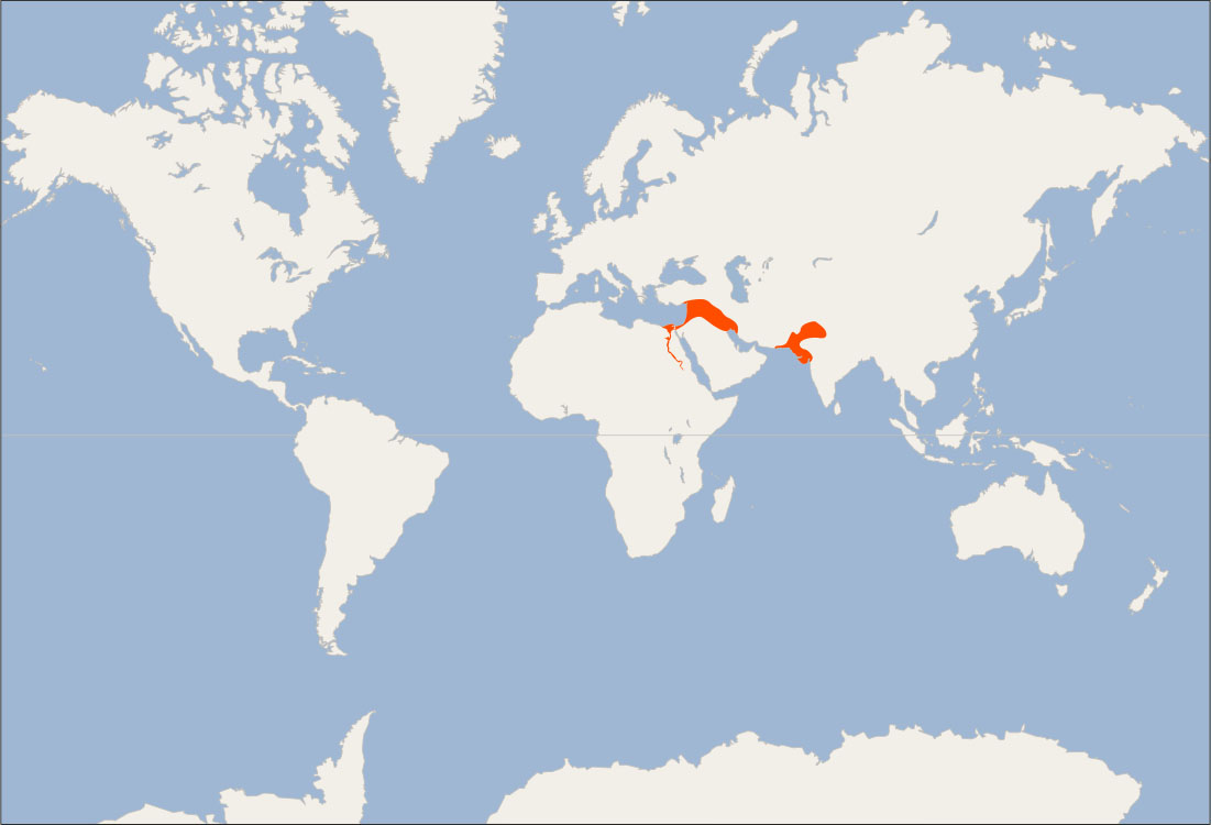 Sýnt er heimskort þar sem land er auðkennt með hvítum lit og vatn með bláum. Egyptaland, Írak, vesturhorn Indlands, mestallt Pakistan og lítið svæði í norðurhluta Indlands eru auðkennd með rauðum lit.