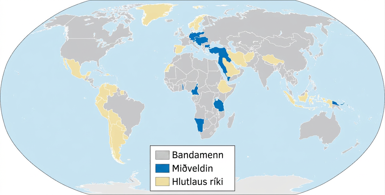 Þetta er heimskort þar sem ríki bandamanna, Miðveldin og hlutlaus ríki í fyrri heimsstyrjöldinni eru auðkennd. Til Miðveldanna teljast Þýskaland, Austurríki-Ungverjaland, Búlgaría, Tyrkland, Ottómanveldið, Tógó, Kamerún, Tansanía, Namibía og Papúa Nýja-Gínea. Meðal hlutlausra ríkja eru Mexíkó, Grænland, Argentína, Úrúgvæ, Síle, Bólivía, Paragvæ, Perú, Ekvador, Kólumbía, Venesúela, Súrínam, Vestur-Sahara, Spánn, Noregur, Svíþjóð, Eþíópía, Sádi-Arabía, Íran, Afganistan, hluti Kína og Indónesía.