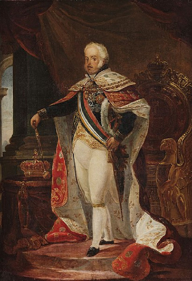 Á málverkinu klæðist João VI konungur skrautlegum einkennisbúningi með heiðursmerkjum og skartgripum. Vinstri hönd hans hvílir á sverðshjalti. Í hægri hendi heldur hann á veldissprota. Kóróna liggur skammt frá.